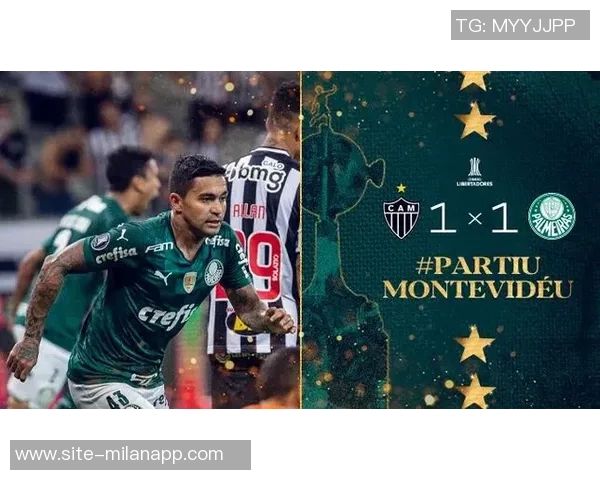 巴西足球盛事帕尔梅拉斯与弗拉门戈争夺南美解放者杯冠军